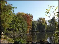c024.webp