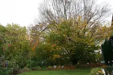 Nov.2419.JPG