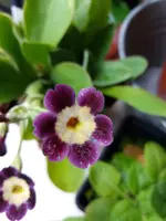 20191102_121750.webp