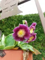 20191102_121843.webp