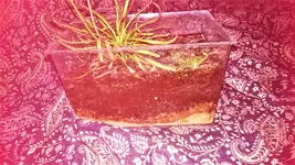 DSC_1482 (2).webp