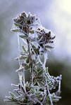 image002.jpg