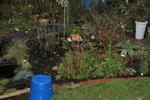 DSC08458.JPG