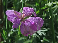 IMG_7631 v (2).webp
