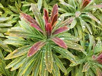 DSCF3240 (2).webp