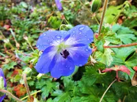DSCF3252 (2).webp