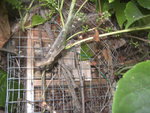 BILD1384.JPG