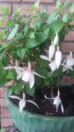 20191028_154151.jpg