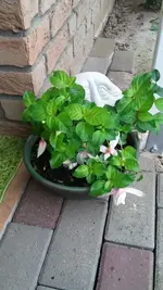 20191028_154303.jpg