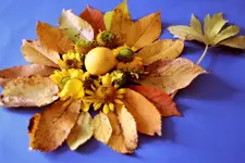 image001.jpg