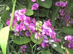 BILD1205.JPG