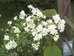 BILD1346.JPG