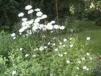 BILD1382.webp