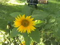 BILD1393.webp