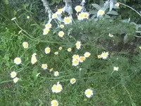 BILD1261.webp