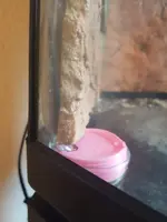 20191103_155820.webp 20191103_155820.webp