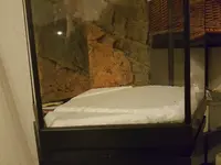 20191103_172211.webp 20191103_172211.webp