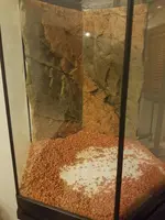 20191103_172822.webp 20191103_172822.webp