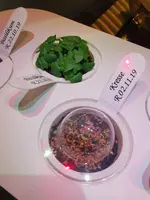 IMG_20191104_122643.webp IMG_20191104_122643.webp