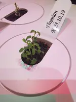 IMG_20191104_122625.webp IMG_20191104_122625.webp