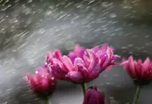 image002.webp