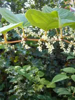 DSC05676.webp