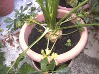 BILD1402.webp