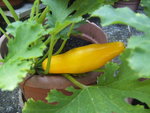 BILD1405.JPG