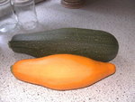 BILD1434.JPG