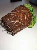 IMG_20191105_144112.webp IMG_20191105_144112.webp