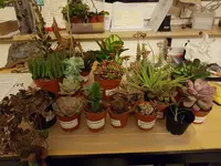 20191105_203205.webp