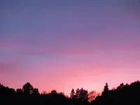 DSCF3195 (2).webp