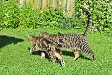 IMG_7747 v (2).webp