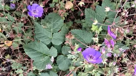 DSC_1444 (2).webp