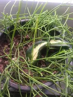 5CEB29A1-C5BD-49BD-9EBB-8401C0E8704E.webp 5CEB29A1-C5BD-49BD-9EBB-8401C0E8704E.webp