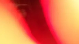 1542309134411.jpg