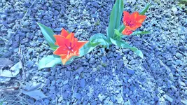 DSC_0053.webp
