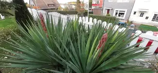 20191108_155042.webp