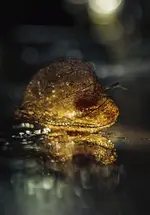 0M3A2695.webp