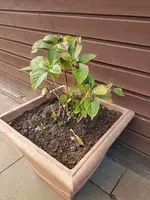 20191108_163530.webp