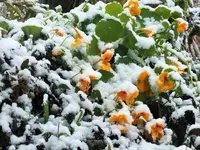 DSCF3258 (2).webp