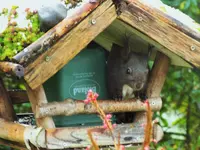 DSCF3281 (2).webp