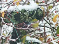 DSCF3272 (2).webp