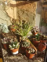 20191109_153016.webp
