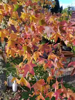 20191109_154008.webp