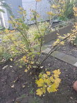20191109_132204.jpg