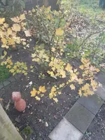 20191109_132221.webp