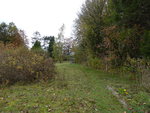P1140727.JPG