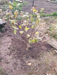 20191108_163701.jpg