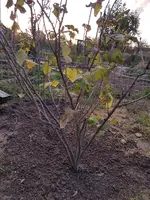 20191108_163709.webp